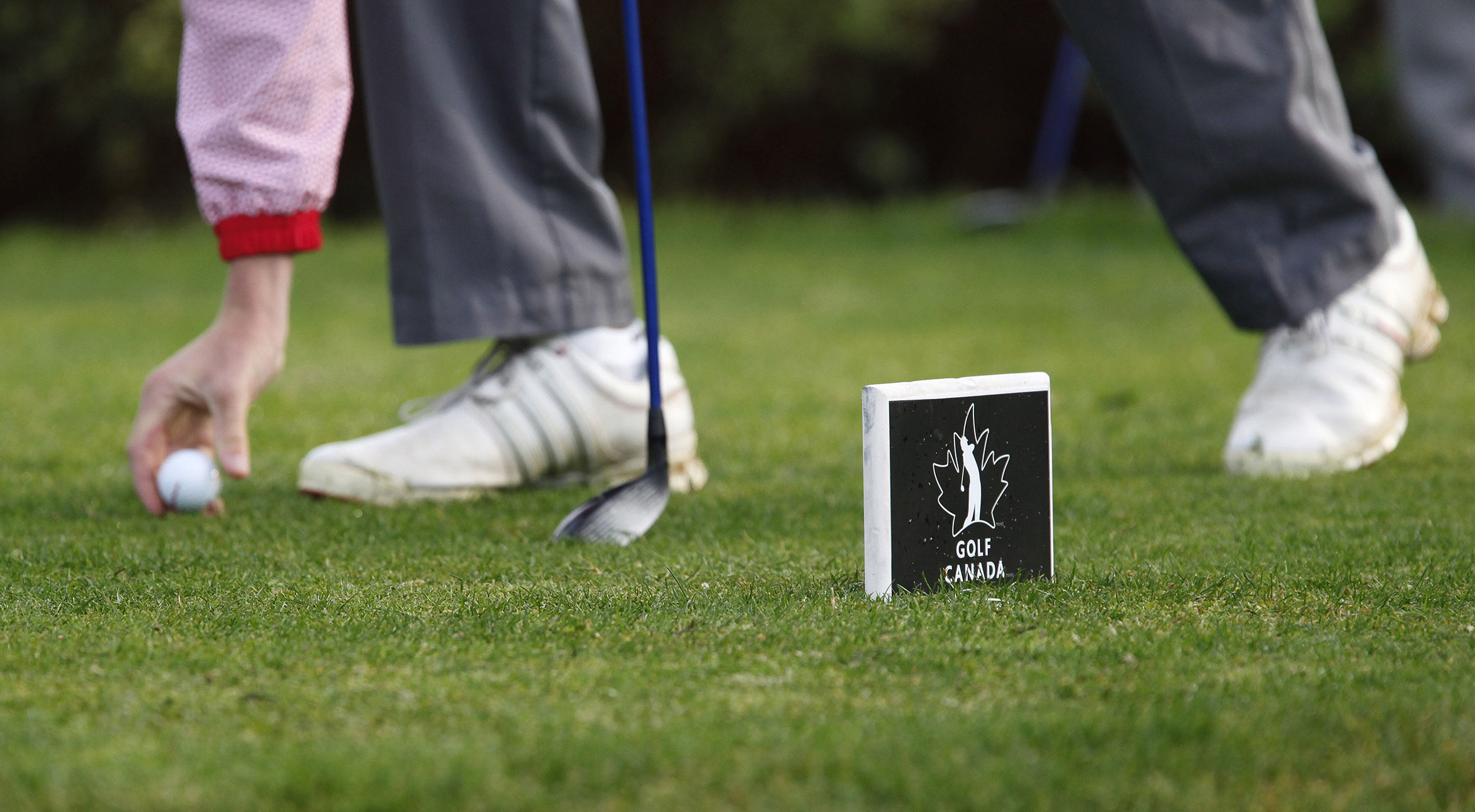 golf canada handicap